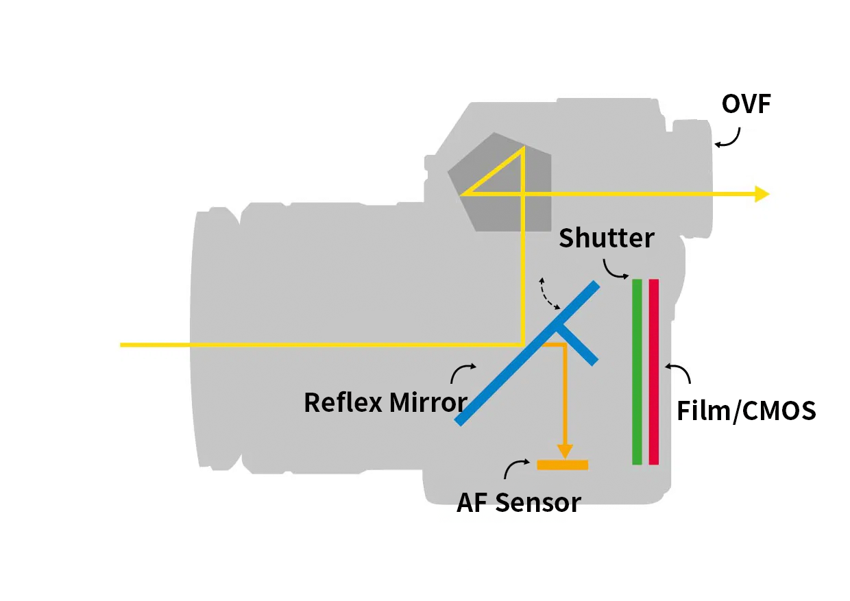 Autofocus DSLR Structure